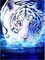 Tiger Diamond Art Kits for Adults, Full Drill 5d Diamond Art Animals Diamond Art Kits Gem Art Painting Rhinestone for Home Wall Art Decor 30x40 cm